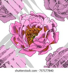 Vector seamless pattern with flowers and lines 21