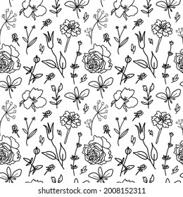 Vector seamless pattern with flowers on white isolated hand drawn background.Botanical,Spring,Summer doodle style black line print.Designs for textiles,fabic,wrapping paper,packaging,web,invitations.