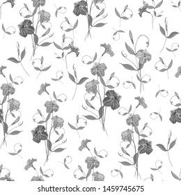 Vector seamless pattern with flowers petunias and leaves on white background. Black and white. Monochrome background for fashion, textile, wallpapers, greetings, web pages.