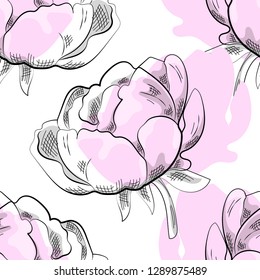 Vector seamless pattern with flowers. Pink peonies. 3