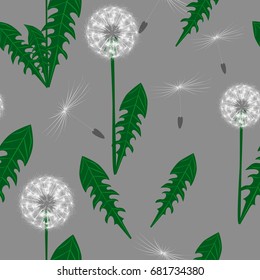 Vector seamless pattern with fluffy white dandelion. Seeds-umbrellas of dandelion. Dandelion leaves on a gray background. Green silhouettes of dandelion leaves. Grey background.