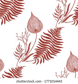 Vector seamless pattern : forest summer herbs on white. Physalis , fern . Herbarium style drsign for textile , wrapping  paper , wallpaper