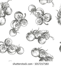 Vector seamless pattern with fresh vegetables. Vintage hand drawn illustration of tomatoes on vine isolated on white. Botanical texture in sketch style.