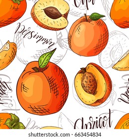 Vector seamless pattern with fruits. Apricot and peach and persimmon background. Hand drawn elements