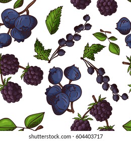 Vector seamless pattern with fruits. Blueberry, blackberry and currant background. Hand drawn elements.