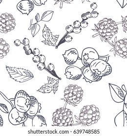 Vector seamless pattern with fruits. Blueberry, blackberry and currant background. Hand drawn elements.