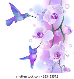 Vector seamless pattern with gentle violet orchids flowers and hummingbirds