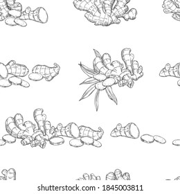 Vector  seamless pattern with Ginger root. Hand drawn sketch illustration