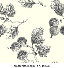 Vector seamless pattern with gooseberry. Vintage engraving illustration of summer berries isolated on white. Texture with hand drawn fruits