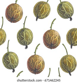 Vector seamless pattern with gooseberry. Vintage engraving illustration of summer berries isolated on white. Texture with hand drawn fruits in sketch style