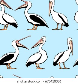 Vector seamless pattern with graceful pelicans on blue background.  Beautiful design elements, perfect for prints and patterns.