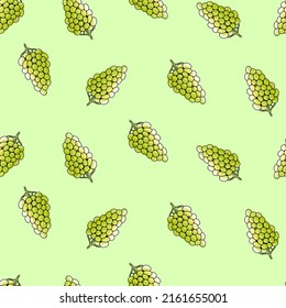 Vector seamless pattern, grape in watercolor style with black contour
