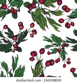 Vector seamless pattern. Graphic hand drawn background. Rosehip branch. Botanical wallpaper in sketch style. Isolated vintage drawing. Design for wrapping paper, fabric, cards, prints and etc.