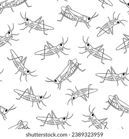 Vector Seamless pattern with grasshopper outline illustration. Line insect isolated on white background.