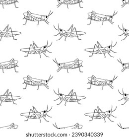 Vector Seamless pattern with grasshopper outline illustration. Line insect isolated on white background.