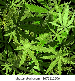 Vector seamless pattern with green cannabis leaves, hand-drawn. Medicinal hemp, can be used for labels or advertising. Vector eps10