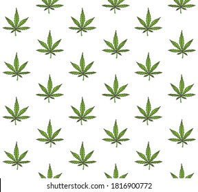 Vector seamless pattern of green colored hand drawn doodle sketch hemp cannabis isolated on white background