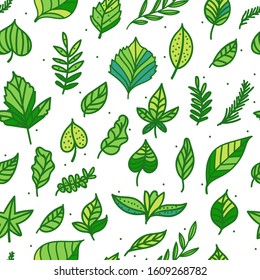 Vector Seamless pattern Green leaf hand drawn illustration texture isolated on white background. Nature eco surface design.