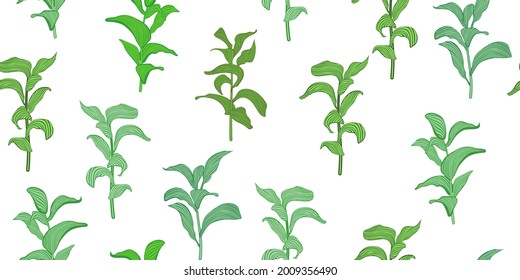 Vector seamless pattern with green leaves on stems isolated on white. Botanical design in green colors for textile, wallpaper, website, wrapping paper, hawaiian style shirt