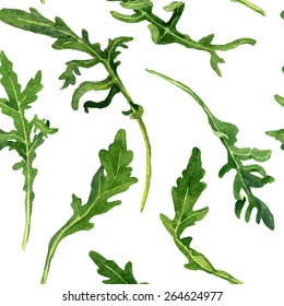 vector seamless pattern with green leaves of arugula drawing by watercolor at white background, hand drawn  illustration 