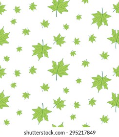 Vector seamless pattern of green maple leaves on a white background. Seamless background from the leaves of the tree.