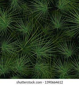 Vector seamless pattern of green palm leaves and tropical plants on a black background. Exotic background for seasonal design.