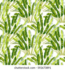 Vector seamless pattern with green tropic leafs