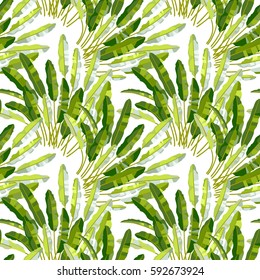 Vector seamless pattern with green tropic leafs