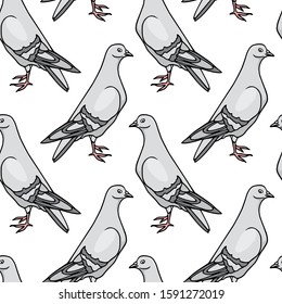 Vector seamless pattern with hand city pigeons. Ink drawing, beautiful animal design elements. Perfect for prints and patterns