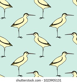 Vector seamless pattern with hand drawn cute sandpipers. Beautiful animal design elements, ink drawing.
