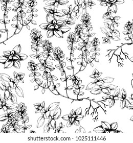 Vector seamless pattern with hand drawn herbs of Thyme.Black and white. Ink botanical sketch in realistic style for print, wrapping, fabric, menu and other herbal naturalistic desig