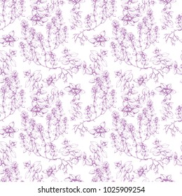 Vector seamless pattern with hand drawn herbs of Thyme. Ink botanical sketch in realistic style for print, wrapping, fabric, menu and other herbal naturalistic desig