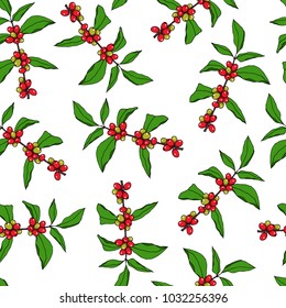 Vector seamless pattern with hand drawn Coffea plants. Beautiful food design elements, perfect for prints and patterns