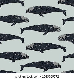 Vector seamless pattern with hand drawn gray whales. Beautiful ink drawing, heavy contour. Perfect design elements, marine animal illustration