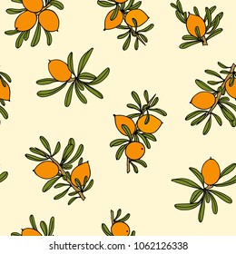 Vector seamless pattern with hand drawn Argan tree branches with fruit. Beautiful design elements, ink drawing, logo template