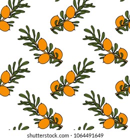 Vector seamless pattern with hand drawn Argan tree branches with fruit. Beautiful design elements, ink drawing, logo template