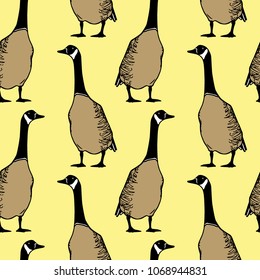 Vector seamless pattern with hand drawn standing wild geese. Beautiful animal design elements, ink drawing.