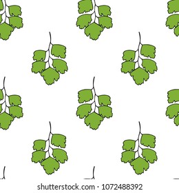 Vector seamless pattern with hand drawn Maidenhair Fern twigs. Beautiful floral design elements,  ink drawing.