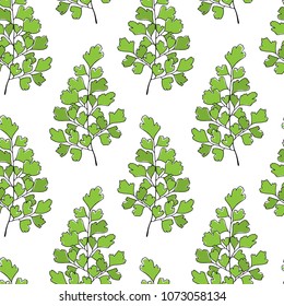 Vector seamless pattern with hand drawn Maidenhair Fern twigs. Beautiful floral design elements,  ink drawing.