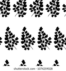 Vector seamless pattern with hand drawn Maidenhair Fern twigs. Beautiful floral design elements,  ink drawing.