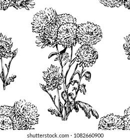 Vector of seamless pattern with hand drawn chrysanthemum.Black and white graphic

