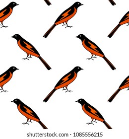 Vector seamless pattern with hand drawn colorful birds. Beautiful animal design element, ink drawing, perfect for prints and patterns