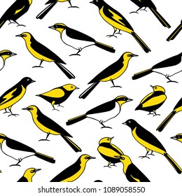 Vector seamless pattern with hand drawn bright tropical birds. Beautiful animal design element, ink drawing, perfect for prints and patterns