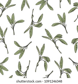 Vector seamless pattern with hand drawn sage twigs. Beautiful food design elements, perfect for prints and patterns