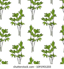 Vector seamless pattern with hand drawn parsley twigs. Beautiful food design elements, perfect for prints and patterns