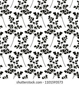 Vector seamless pattern with hand drawn Maidenhair Fern twigs. Beautiful floral design elements,  ink drawing.