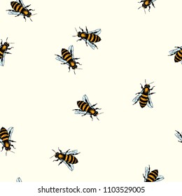 Vector seamless pattern with hand drawn honey bees. Beautiful ink drawing, animal design elements, perfect for prints and patterns