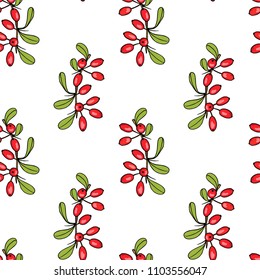 Vector seamless pattern with hand drawn barberry twigs. Beautiful floral design elements, ink drawing