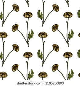 Vector seamless pattern with hand drawn button mum twigs. Beautiful ink drawing, vintage style.