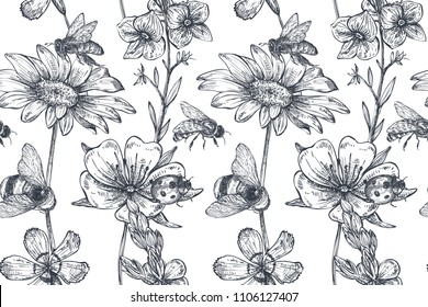 Vector seamless pattern with hand drawn chamomile, wildflowers, herbs, bee.